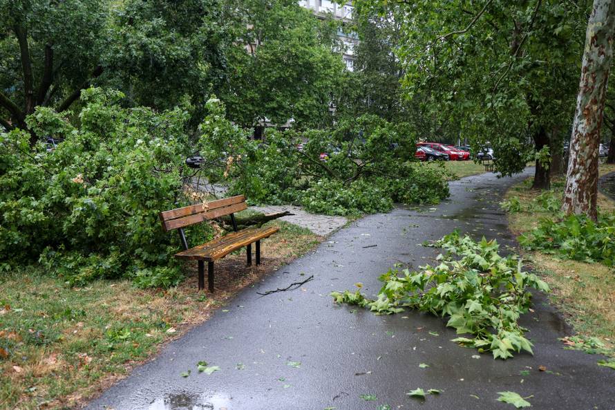 Zagreb: Vatrogasci uklanjaju stablo koje je palo u Ulici Svetog Mateja