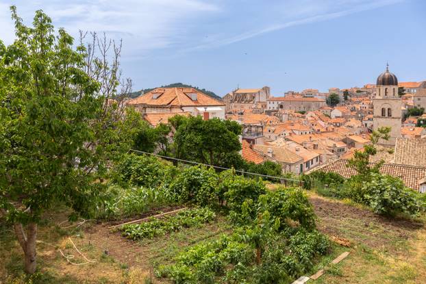 Dubrovnik: Vrtovi franjevačkog samostana