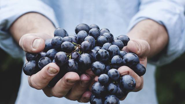 Iskoristite sezonu i očistite tijelo od toksina pomoću crnog grožđa