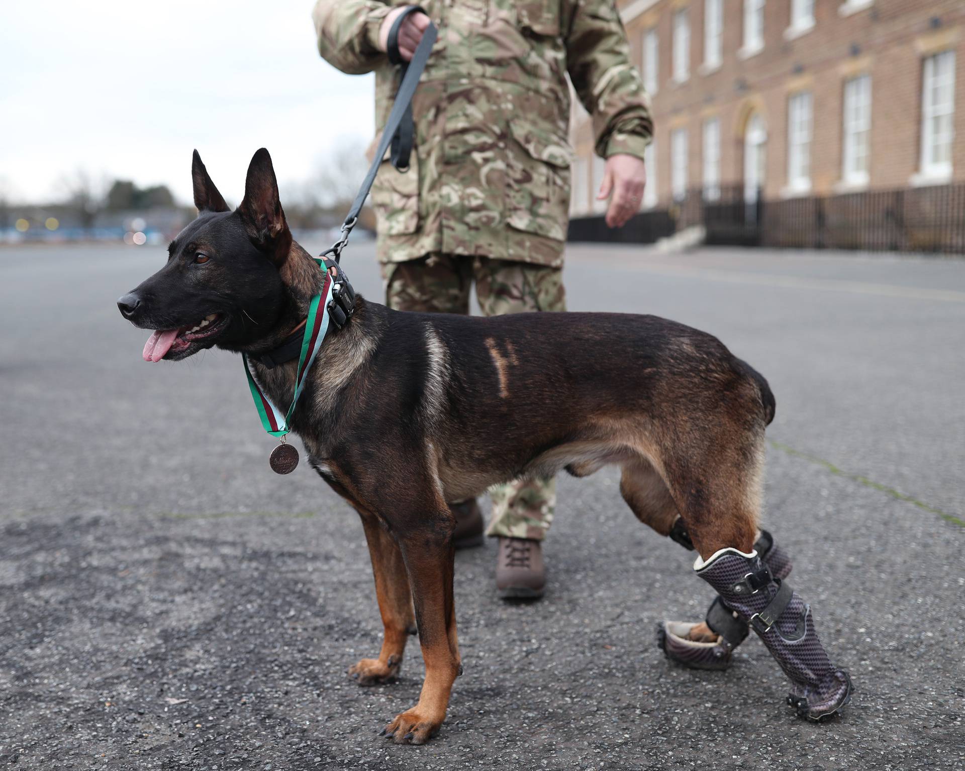 PDSA Dickin Medal for valour