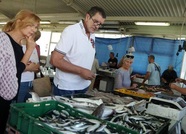 Šibenik: Bogata ponuda u šibenskoj ribarnici
