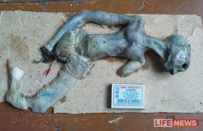 "Izvanzemaljac" iz Sibira je zapravo lutka od kokošje kože