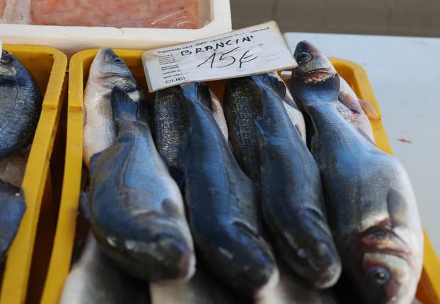 Šibenik: Ponuda ribe na ribarnici
