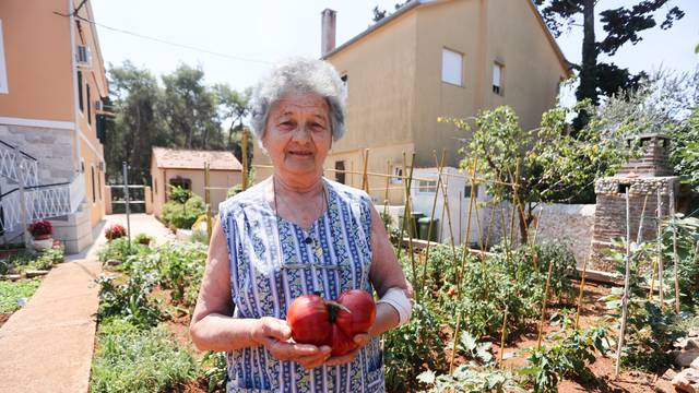 U vrtu gospođe Julije izrastao kapitalac: "Rajčica je teška kilogram, ovo je prva takva"