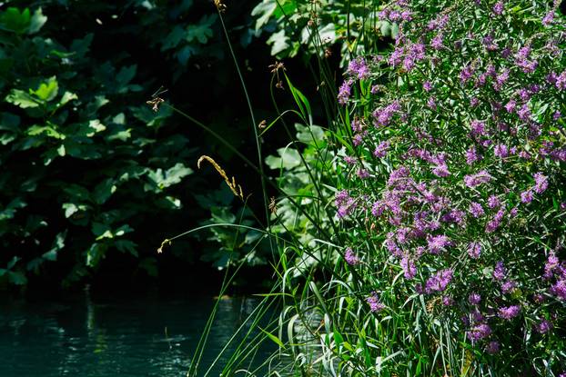 FOTO Popravite si dan ovim prekrasnim prizorima iz NP Krka