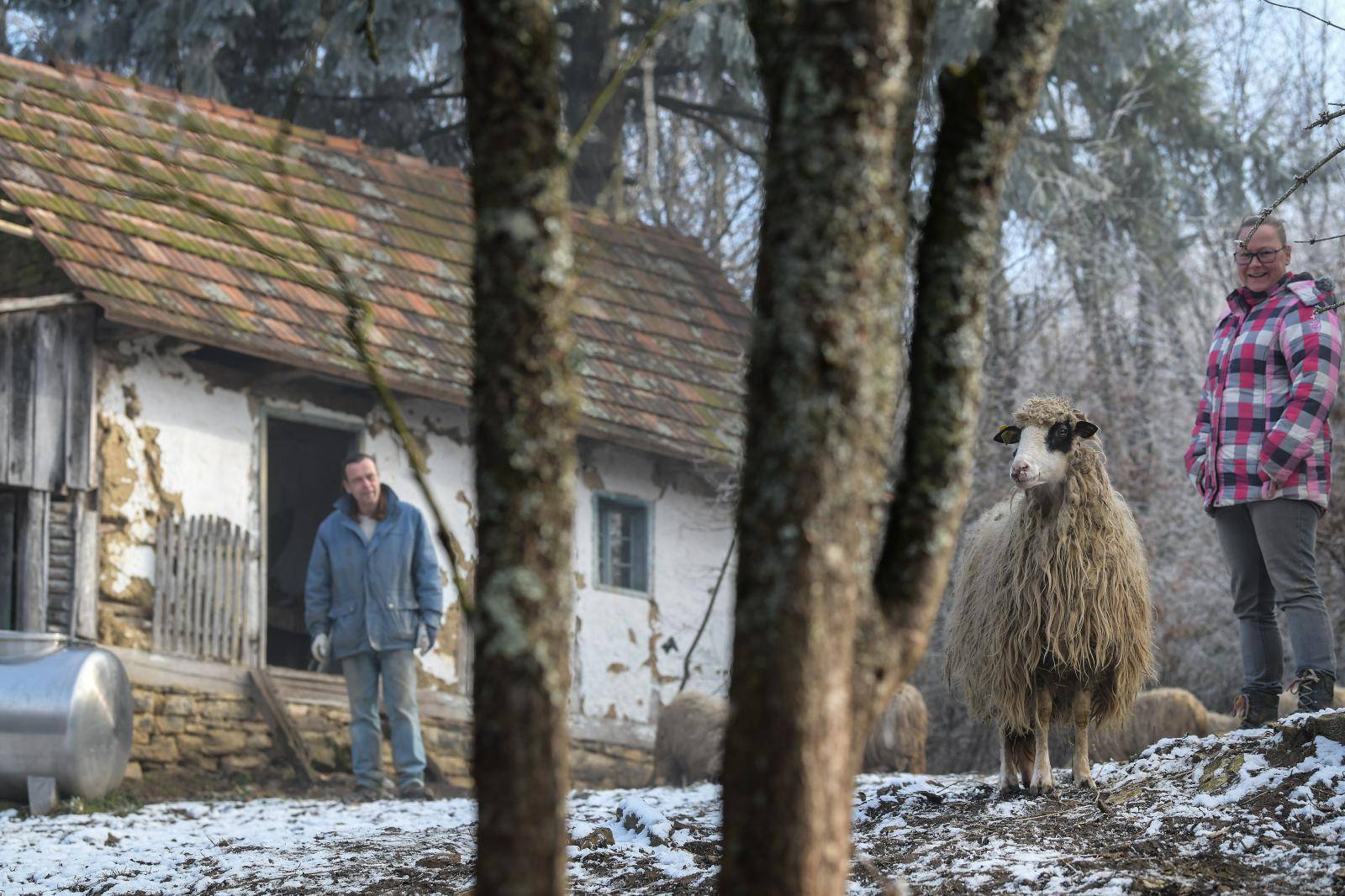 Nizozemci iz Lipika: Na našoj farmi rastu riža i stare jabuke