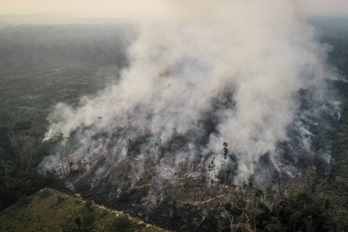 U Amazoniji ubijene stotine ljudi zbog resursa i zemljišta
