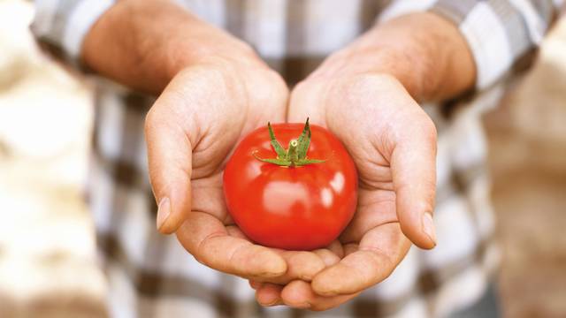 Iz srca Italije – Samo najbolje rajčice na vašem stolu