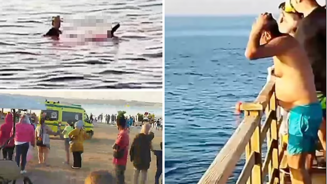 Horor na plaži u Egiptu, vlasti: Morski pas ubio još jednu ženu
