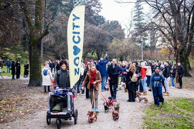 Zagreb: Adventska špica jazavčara 