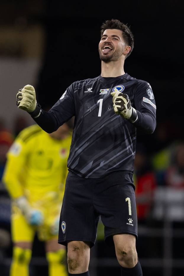 Wales v Bosnia and Herzegovina2026 FIFA World Cup Qualifiers, the Cardiff City Stadium, Cardiff, South Glamorgan, UK - 26 Mar 2026