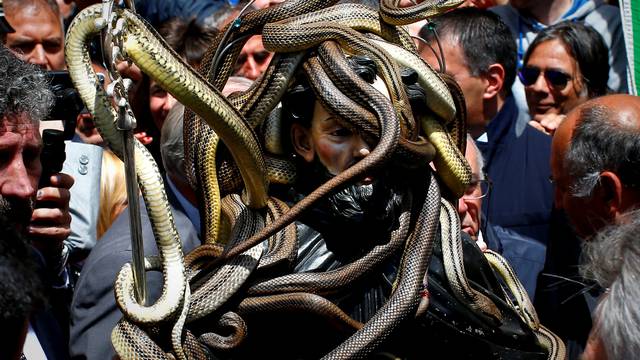 Snakes cover a wooden statue of Saint Domenico during a procession in Cocullo