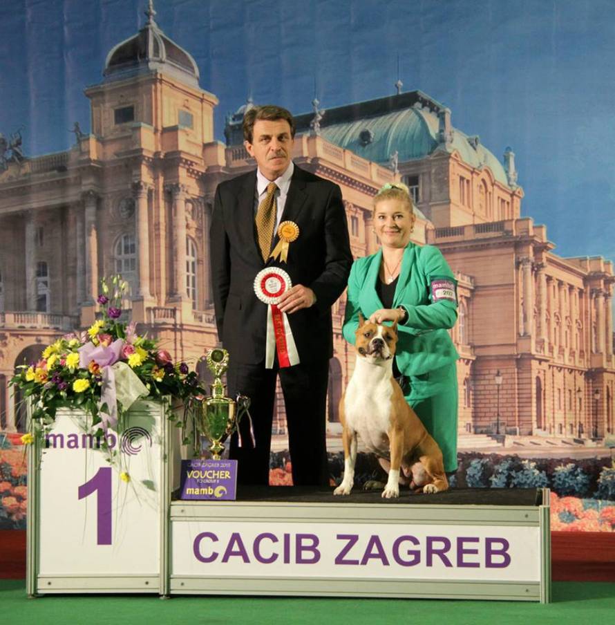 Hrvatski kinološki savez