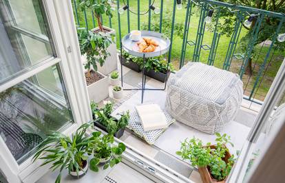 Ovo je 5 najboljih biljki za vaš balkon i savjeti za pravu njegu