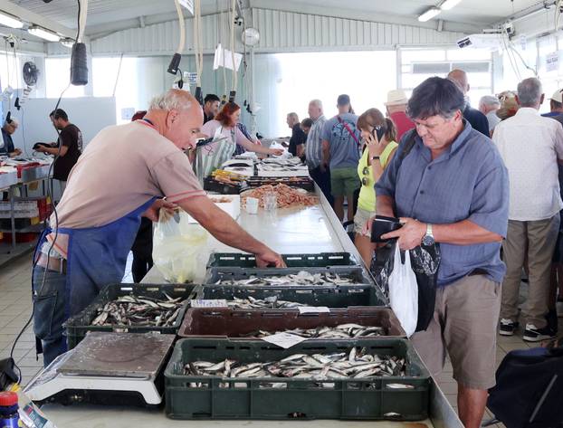 Šibenik: Bogata ponuda ribe na šibenskoj ribarnici