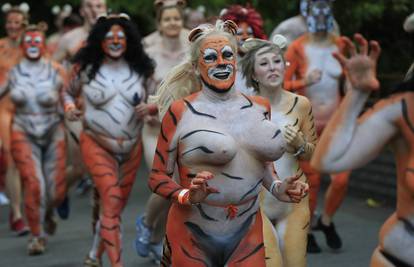 Sakupljaju novac za spašavanje rijetkih tigrova - potpuno goli