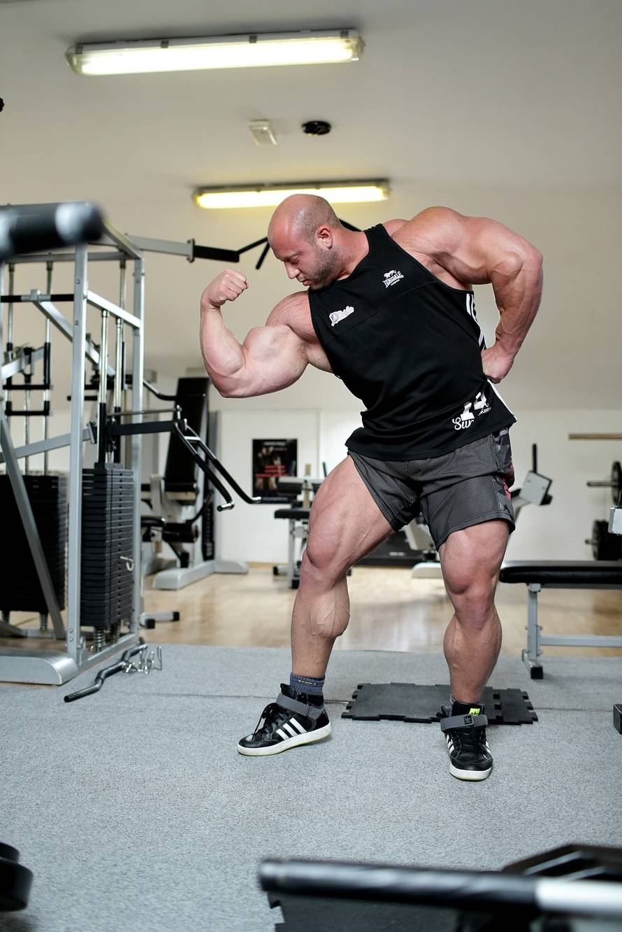 Željko Lukunić/PIXSELL