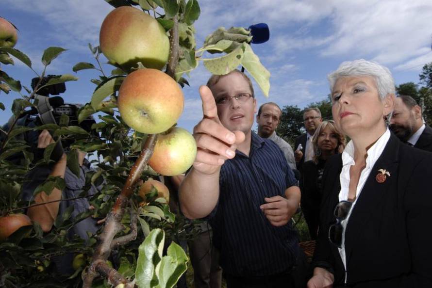 Vjeran Žganec Rogulja/PIXSELL