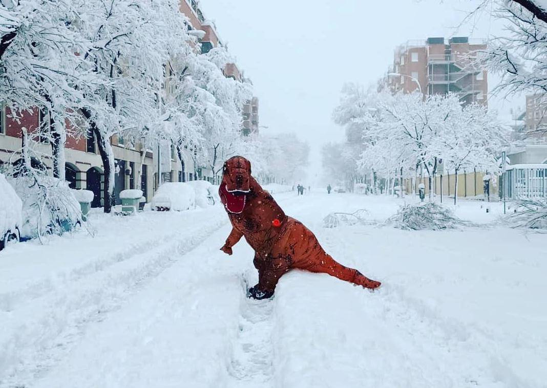 T-Rex checks out snow in Madrid