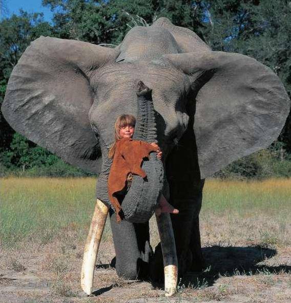 Tippi: MyBookOfAfrica