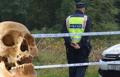 U šumi kod Susedgrada našla je kost ljudske lubanje. Stara je više desetljeća. Pozvali policiju