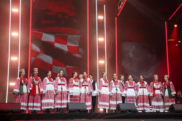 Koncert Domu mom u Zagrebačkoj Areni