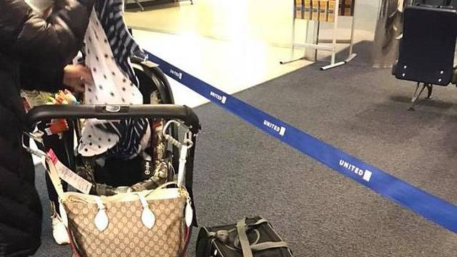 Pas uginuo u avionu, stavili su ga u odjeljak za ručnu prtljagu