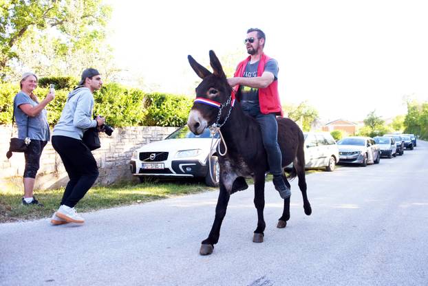 Orbanići: 56. Trka na tovari