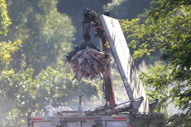 PIXSELL TOP 100 - 2025