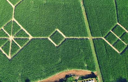 Nova atrakcija u Ivanić-Gradu: Labirint među kukuruzima!