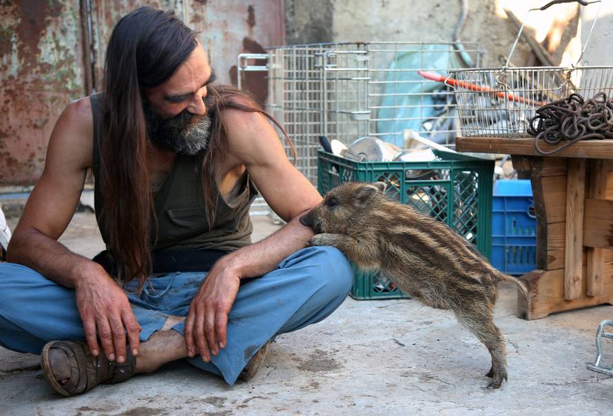 Bilice: Zoran Mikulandra udomio tek mjesec dana staru vepricu