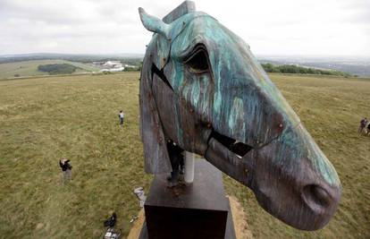 Golema konjska glava krasi brdo u Chichesteru