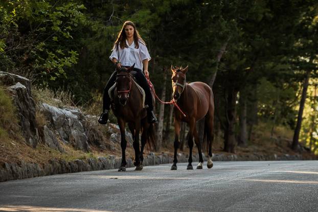 Split: Konji u Park šumi Marjan