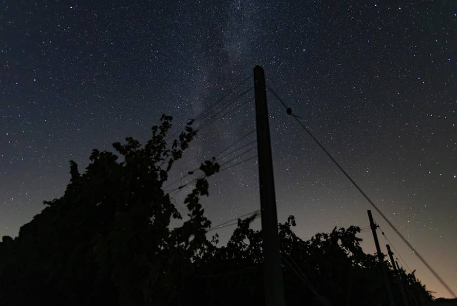 Kiša meteora iznad Baranjskih vinograda