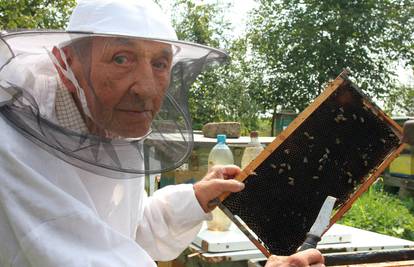 'Imam pčele 81 godinu, a toliko ih volim da im pišem pjesme...'