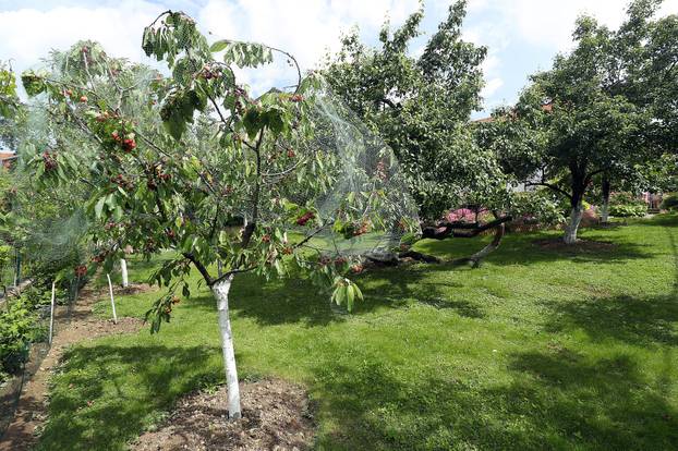 Zagreb: Ksenija Urličić u svom vrtu