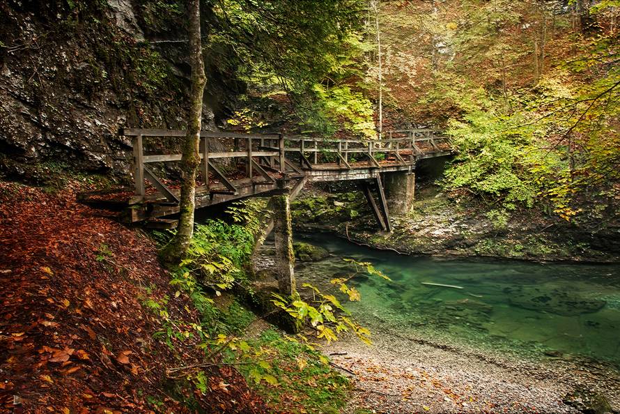 Uživajte u finoj hrani, utrkujte se, pjevajte, plešite i sjajno se zabavite u idiličnom Kamačniku