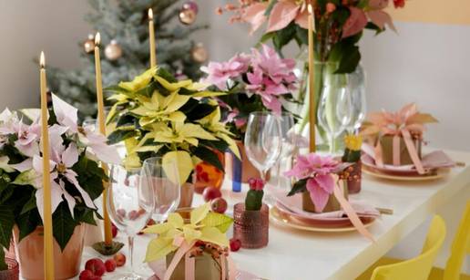 Pokloni s cvatućim božićnim zvijezdama