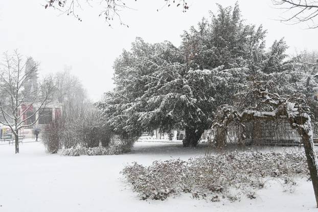 Prvi ovogodišnji snijeg u Bjelovaru