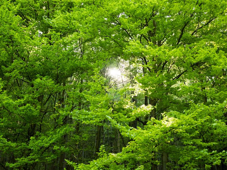 Izložba „Medvednica, neraskidiva veza sa Zagrebom“