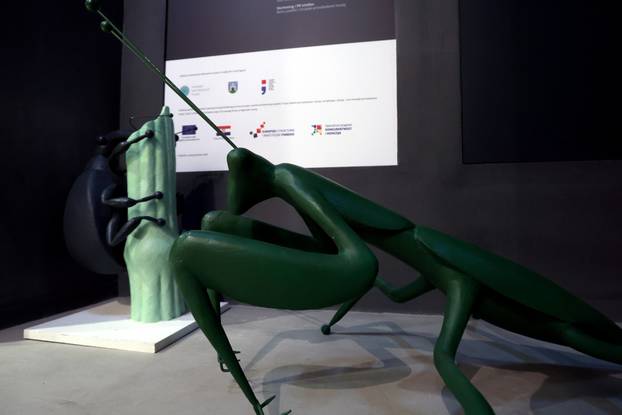 Zagreb: Završen je projekt Čuvar baštine Hrvatskog prirodoslovnog muzeja