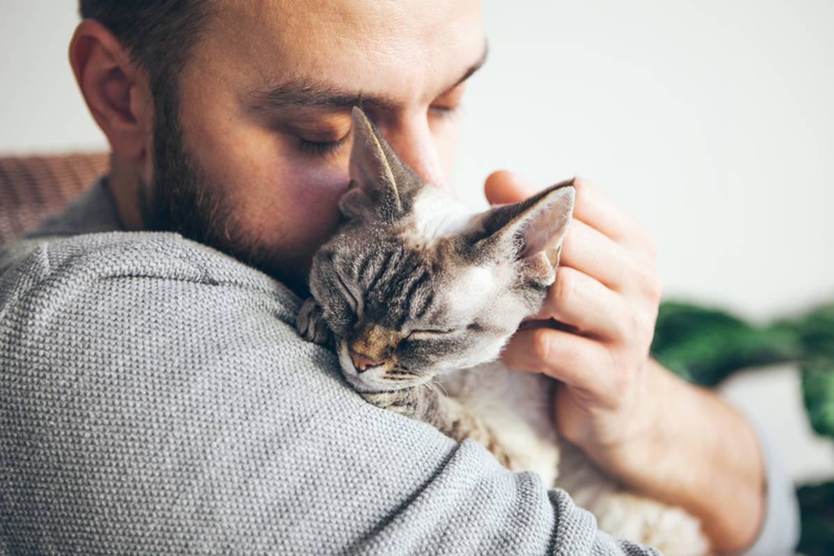 Veterinar: 2 najbolja načina za držati mačke - one ih obožavaju