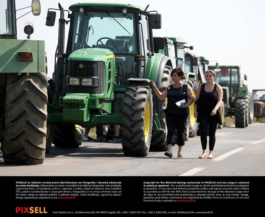 Davor Javorović/Pixsell