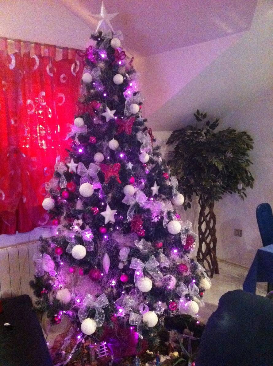 Šaljite fotografije božićnih jelki i osvojite vrijednu nagradu...