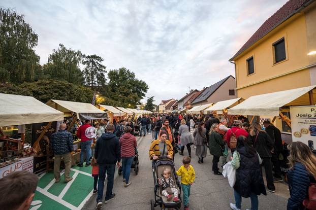 Održana 21. Bučijada i Sajam bučina ulja u Ivanić-Gradu