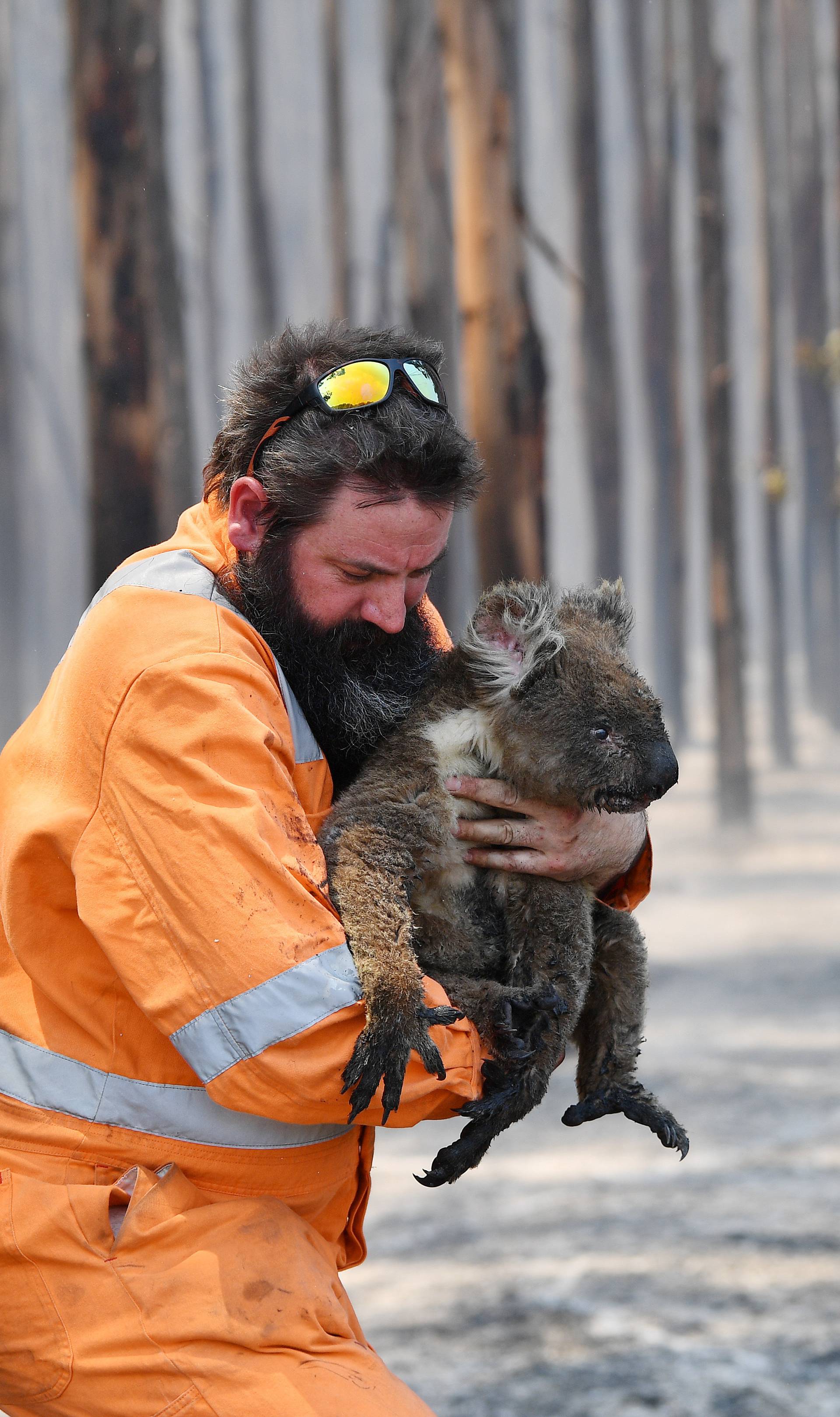 Prizori nakon požara iz Australije