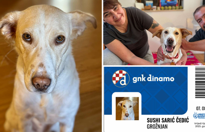 Vau, vau, Boysi! Ja sam kujica Sushi i članica sam Dinama