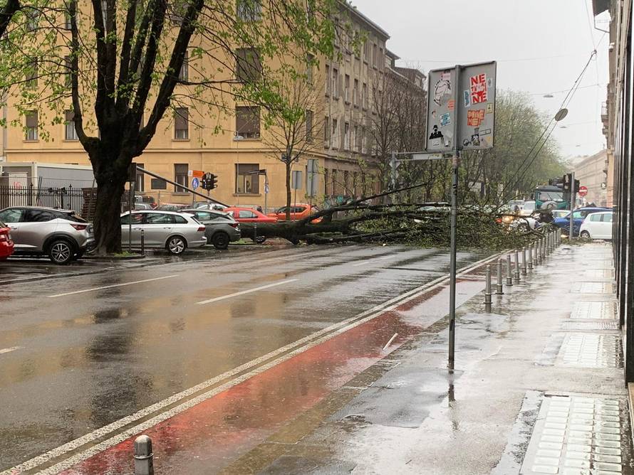 FOTO Stablo zdrobilo auto u Podsusedu! Zbog nevremena prometni kolaps u centru ZG-a