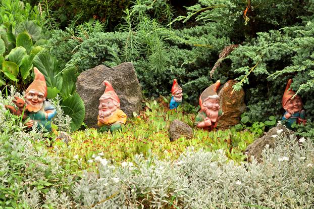 Some,Decorative,Gnomes,,Decorating,A,Yard