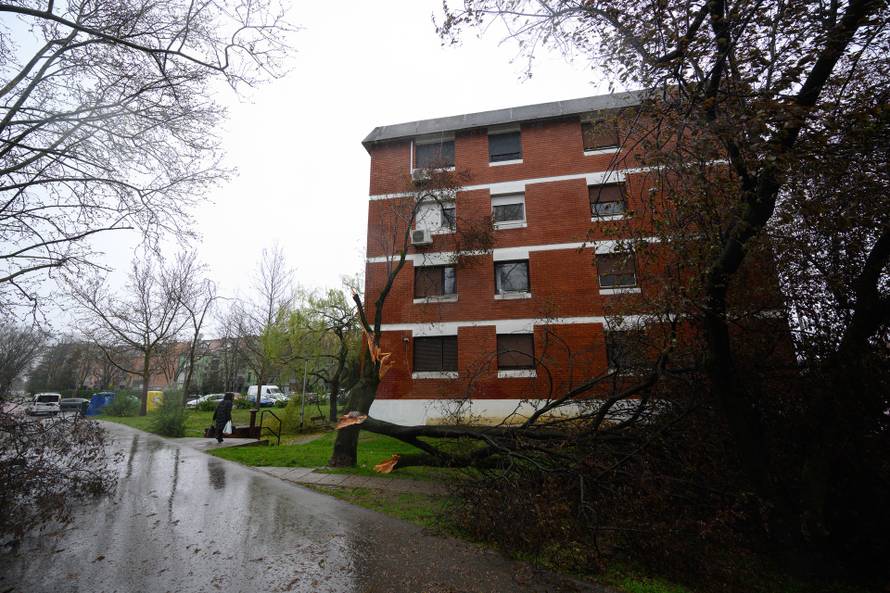 Zagreb: Jak olujni vjetar polomio stabla i grane na Jarunu